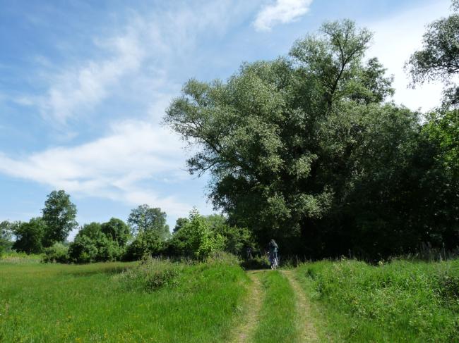 Travnatá cesta v krajině